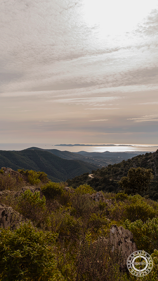 Profondeur de champ f2.8