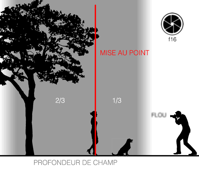 Profondeur de champ f16 Profondeur de champ f16
